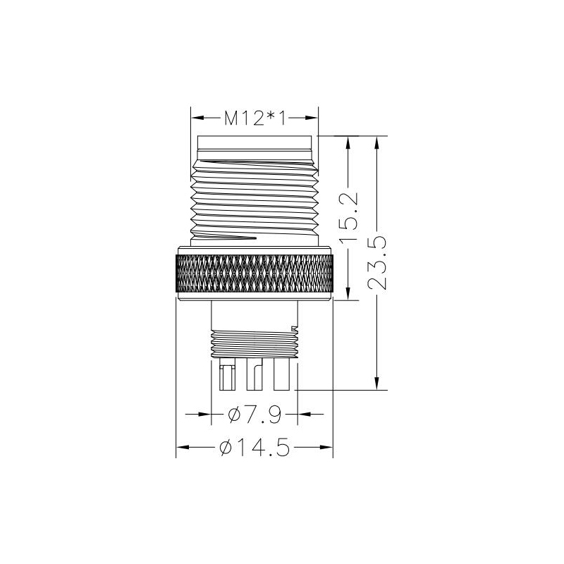 M12 3pins C code male moldable connector,unshielded,brass with nickel plated screw